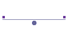 Computer Services